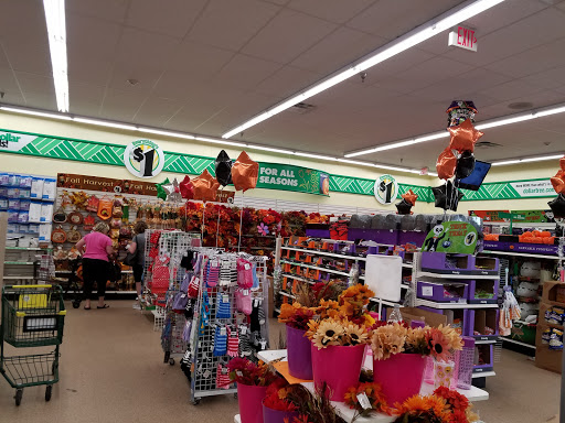 Dollar Store «Dollar Tree», reviews and photos, 250 Jericho Turnpike #80, Floral Park, NY 11001, USA