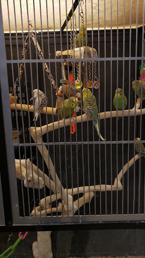 Pet Supply Store «PetSmart», reviews and photos, 1 Worcester Rd, Framingham, MA 01701, USA