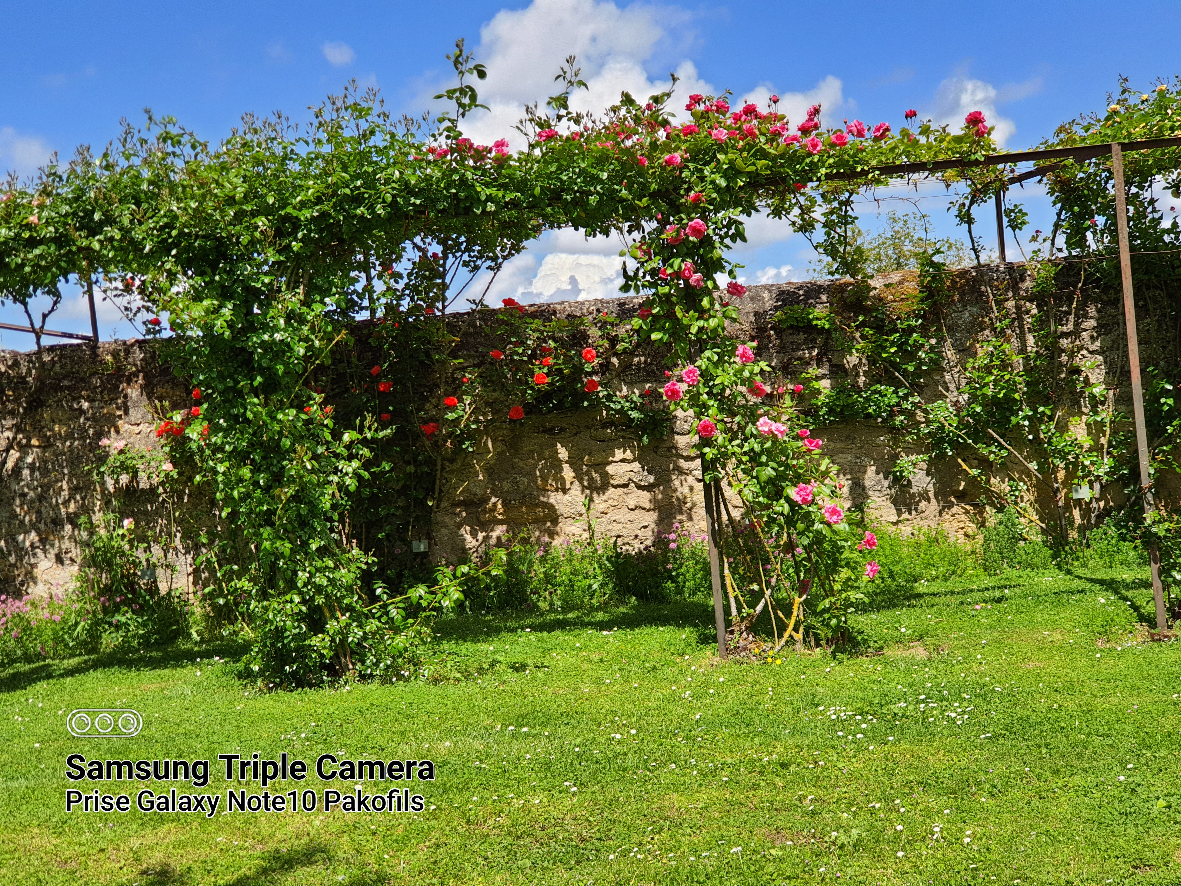 Photo n° 15 de l'avis de Pascal.e fait le 23/05/2021 à 14:28