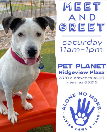 Pet Store «Pet Planet Ridgeview», reviews and photos, 2910 N Power Rd #103, Mesa, AZ 85215, USA