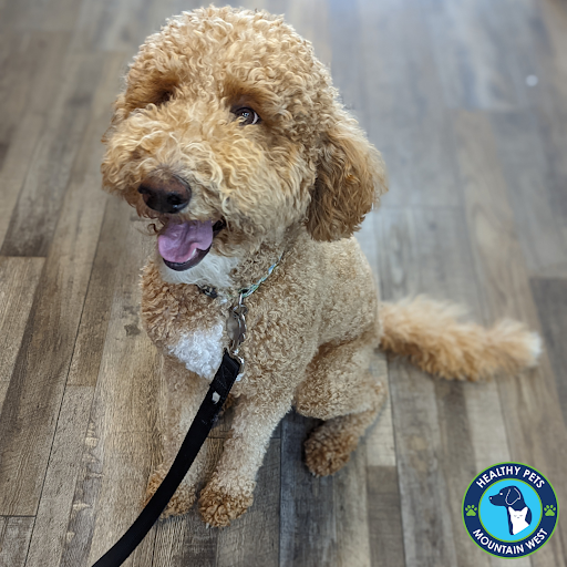 Pet Store «Healthy Pets Mountain West», reviews and photos, 2352 Fort Union Blvd, Cottonwood Heights, UT 84121, USA