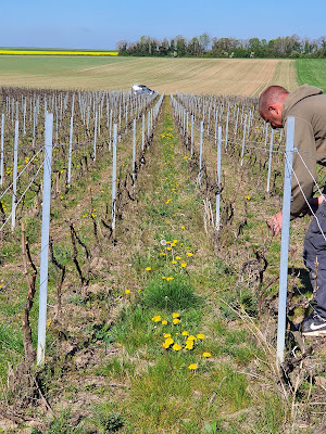 BSPV Bratkovic Sebastien Prestation Viticole à Villers-Marmery
