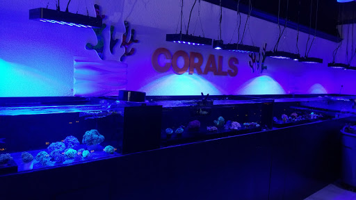 Pet Store «Ocean View Aquariums», reviews and photos, 6883 SW 40th St, Miami, FL 33155, USA