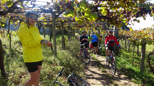 Mountain bike lessons Oporto