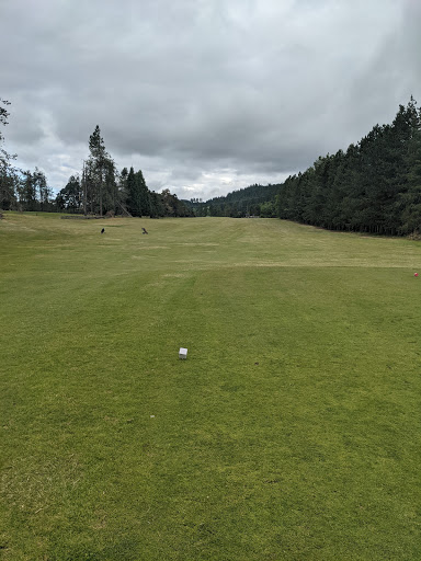 Golf Course «Sandelie Original 18-Hole Golf Course», reviews and photos, 28333 SW Mountain Rd, West Linn, OR 97068, USA