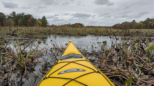 National Reserve «Assabet River National Wildlife Refuge», reviews and photos, 680 Hudson Road, Sudbury, MA 01776, USA
