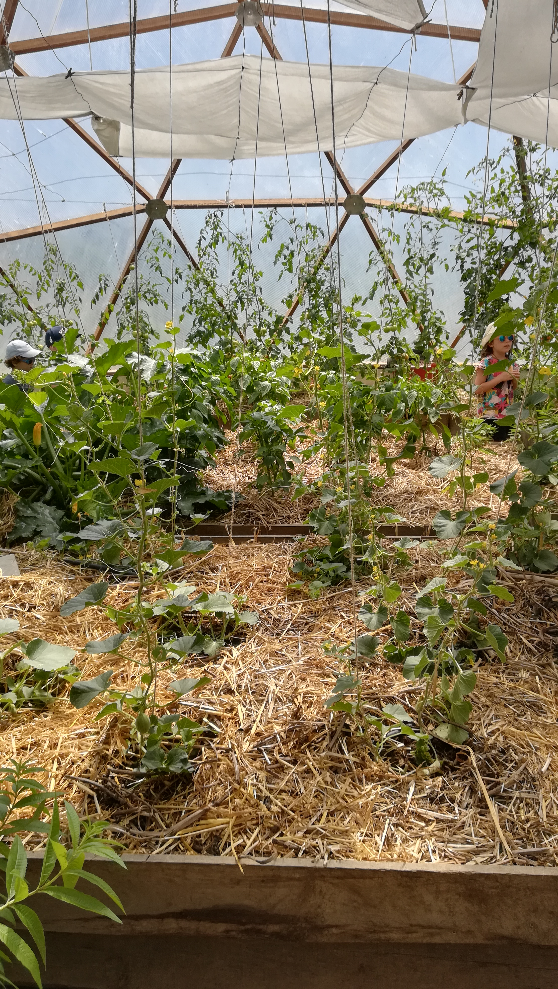 Photo n° 1 de l'avis de marie-julie.. fait le 25/06/2018 à 13:24