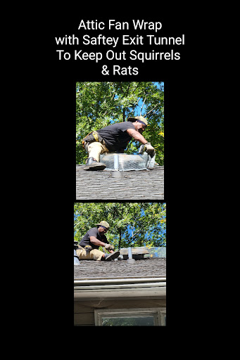 Pest Control Service «Attic Kings», reviews and photos