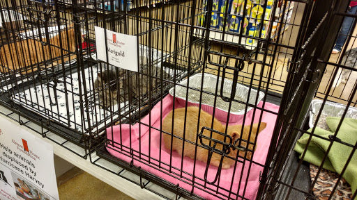 Pet Supply Store «PetSmart», reviews and photos, 162 S Gary Ave, Bloomingdale, IL 60108, USA