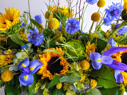 Florist «K & M Floral & Interior Plant Designs», reviews and photos, 537 Main St, Woodland, CA 95695, USA