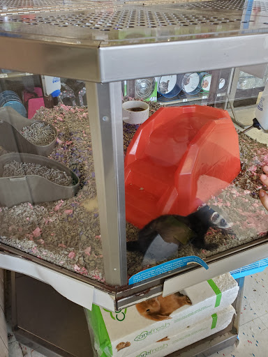 Pet Supply Store «Petco Animal Supplies», reviews and photos, 189 Old Country Rd, Carle Place, NY 11514, USA