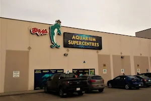 Big Al's Aquarium Supercentres - Edmonton image