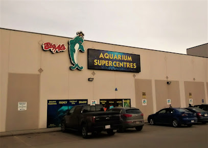 Big Al's Aquarium Supercentres - Edmonton