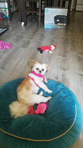 Pet Supply Store «Petco Animal Supplies», reviews and photos, 1775 Washington St, Hanover, MA 02339, USA