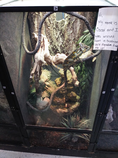 Pet Store «Animal Lovers Pet Shop», reviews and photos, 24028 Vista Montana, Torrance, CA 90505, USA