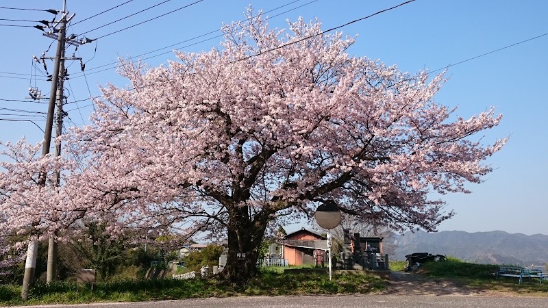 大行寺