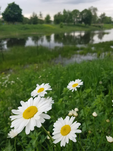 Park «Springfield Park», reviews and photos, 269 Springfield Dr, Bloomingdale, IL 60108, USA