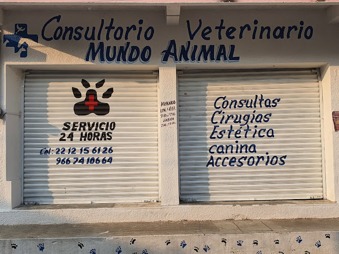 Consultorio Veterinario Mundo Animal