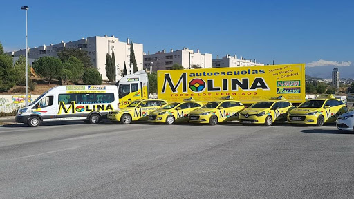 Autoescuela Molina Novel y Rally
