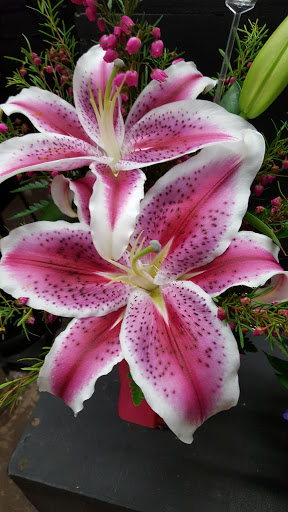 Florist «Grand Florist», reviews and photos, 525 W Rte 66, Glendora, CA 91740, USA