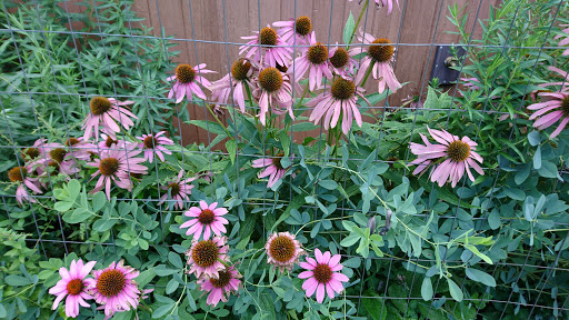 State Park «Cheesequake State Park», reviews and photos, 300 Gordon Rd, Matawan, NJ 07747, USA