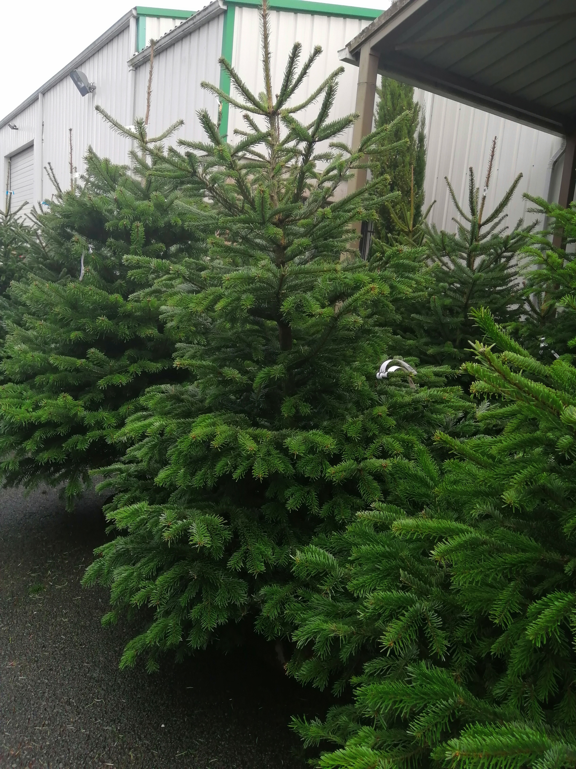 Photo n° 1 de l'avis de sarah.r fait le 01/12/2019 à 07:13