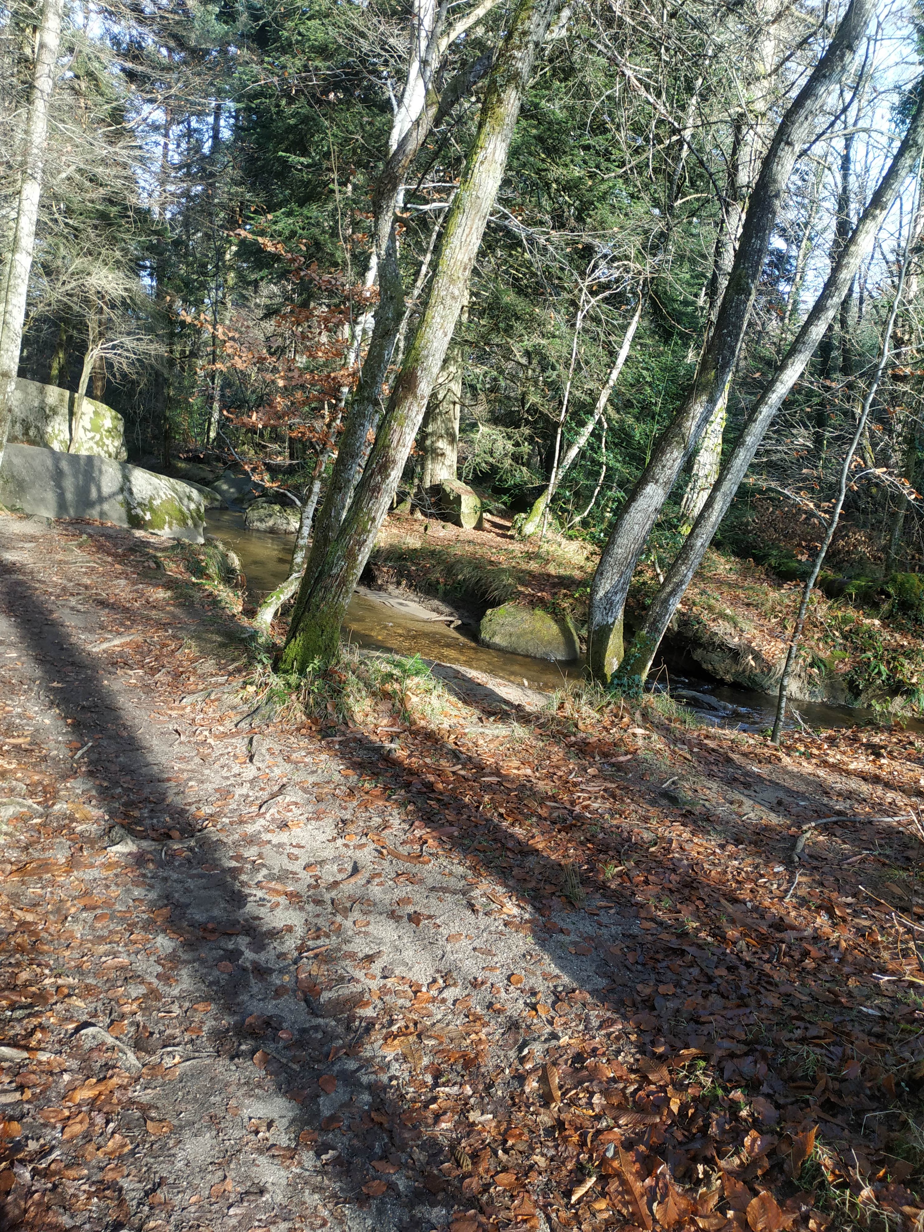 Photo n° 6 de l'avis de Corinne.a fait le 16/12/2021 à 07:10