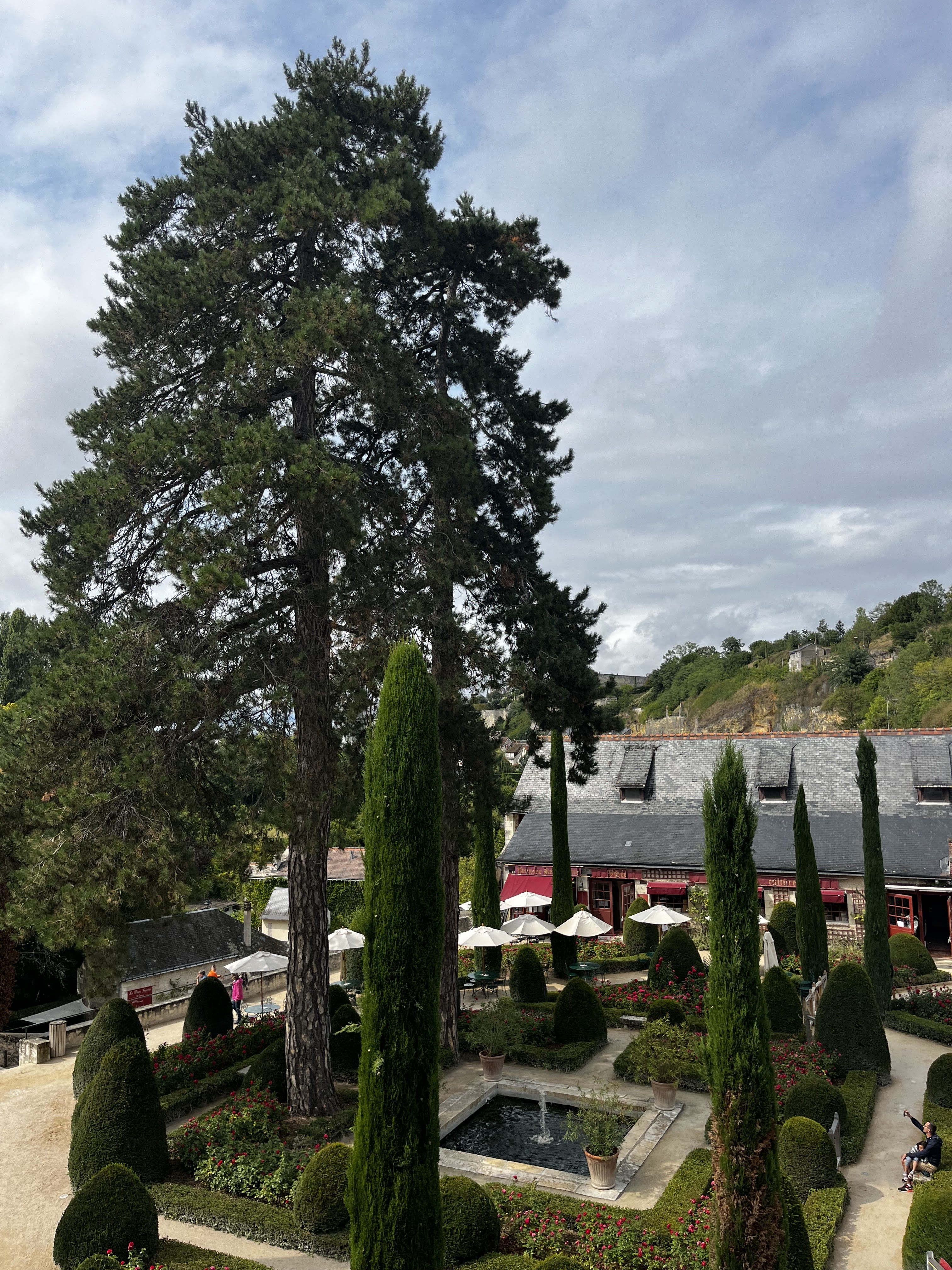 Photo n° 1 de l'avis de ninevic.i fait le 02/09/2023 à 07:39