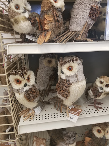 Craft Store «Michaels», reviews and photos, 1645 Lititz Pike, Lancaster, PA 17601, USA