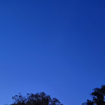 Photo n°3 de l'avis de Mark.a fait le 26/08/2023 à 20:55 sur le  TH Tirrenia Green Park Resort à Calambrone