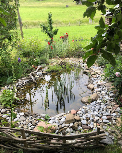 Allemann Gartenunterhalt - Jürg Allemann, Biel / Bienne - Gartenbauer