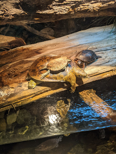 Science Museum «ECHO, Leahy Center for Lake Champlain», reviews and photos, 1 College St, Burlington, VT 05401, USA