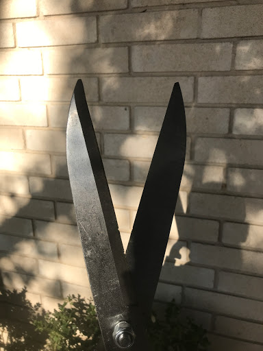 Animal Feed Store «Lavernia Country Store», reviews and photos, 13625 US-87, La Vernia, TX 78121, USA