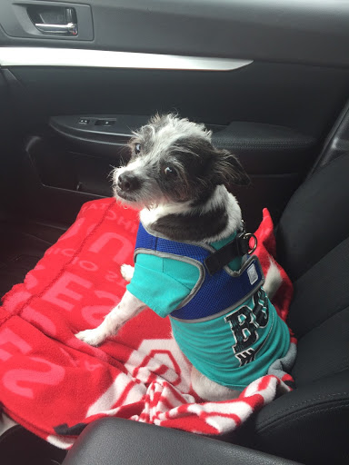 Pet Supply Store «Petco Animal Supplies», reviews and photos, 12014 SW 88th St, Miami, FL 33186, USA