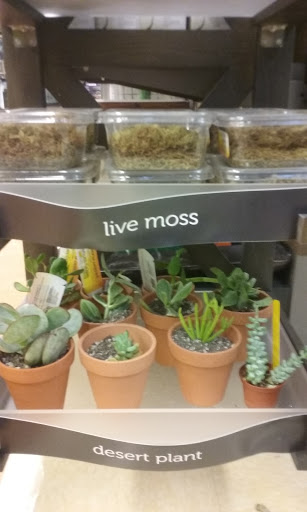 Pet Supply Store «Petco Animal Supplies», reviews and photos, 1145 N Hermitage Rd, Hermitage, PA 16148, USA