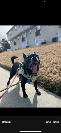 Pit Stop Pet Services - Photo 5 - Car repair in Charlotte, NC, Charlotte