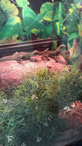 Pet Store «Wet Pets N Critters», reviews and photos, 103 TX-281 Loop, Longview, TX 75605, USA