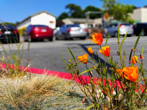 Grocery Store «Safeway», reviews and photos, 1212 Forest Ave, Pacific Grove, CA 93950, USA
