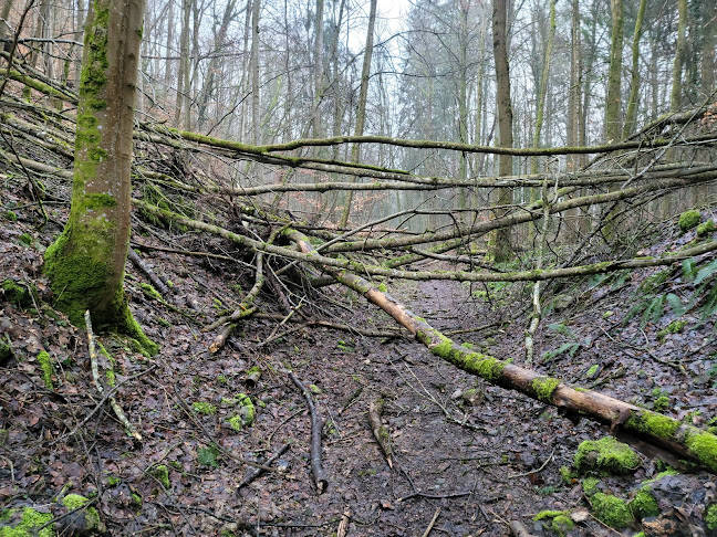 Teufelskeller Baden Aargau - Wettingen