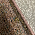 Photo n°2 de l'avis de Ardnaxela.o fait le 22/03/2024 à 21:24 sur le  Zur Burg Sternberg à Extertal