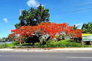 Guam image