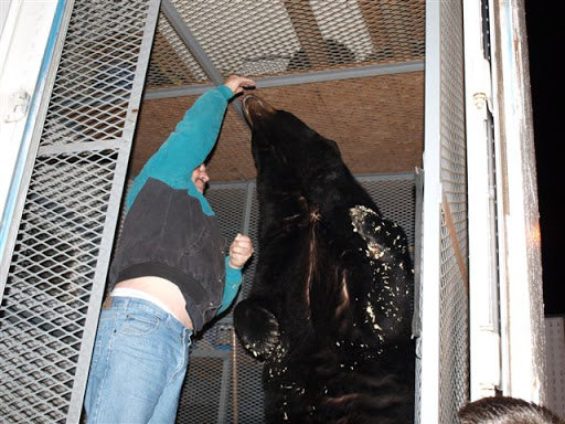 Beauty Salon «Upper Cut Salon», reviews and photos, 1001 Buckeye St, North Vernon, IN 47265, USA