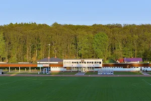 Stadion miejski image