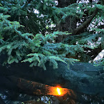 Photo n°20 de l'avis de piera.a fait le 20/08/2021 à 15:43 sur le  Hotel Sagittario à Bugnara