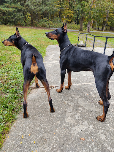 3017 NY-22, Dover Plains, NY 12522, USA