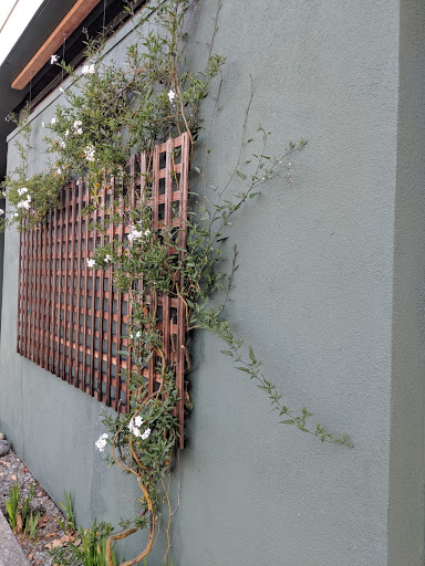 Thrift Store «Sutter Hospice Thrift Store», reviews and photos