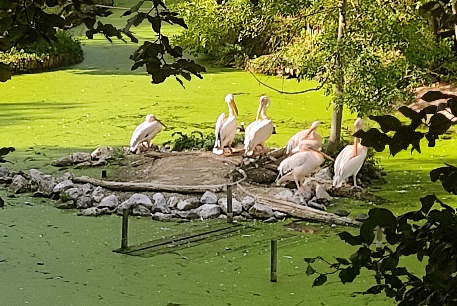 Photo n° 5 de l'avis de Xavier.o fait le 20/10/2023 à 20:26