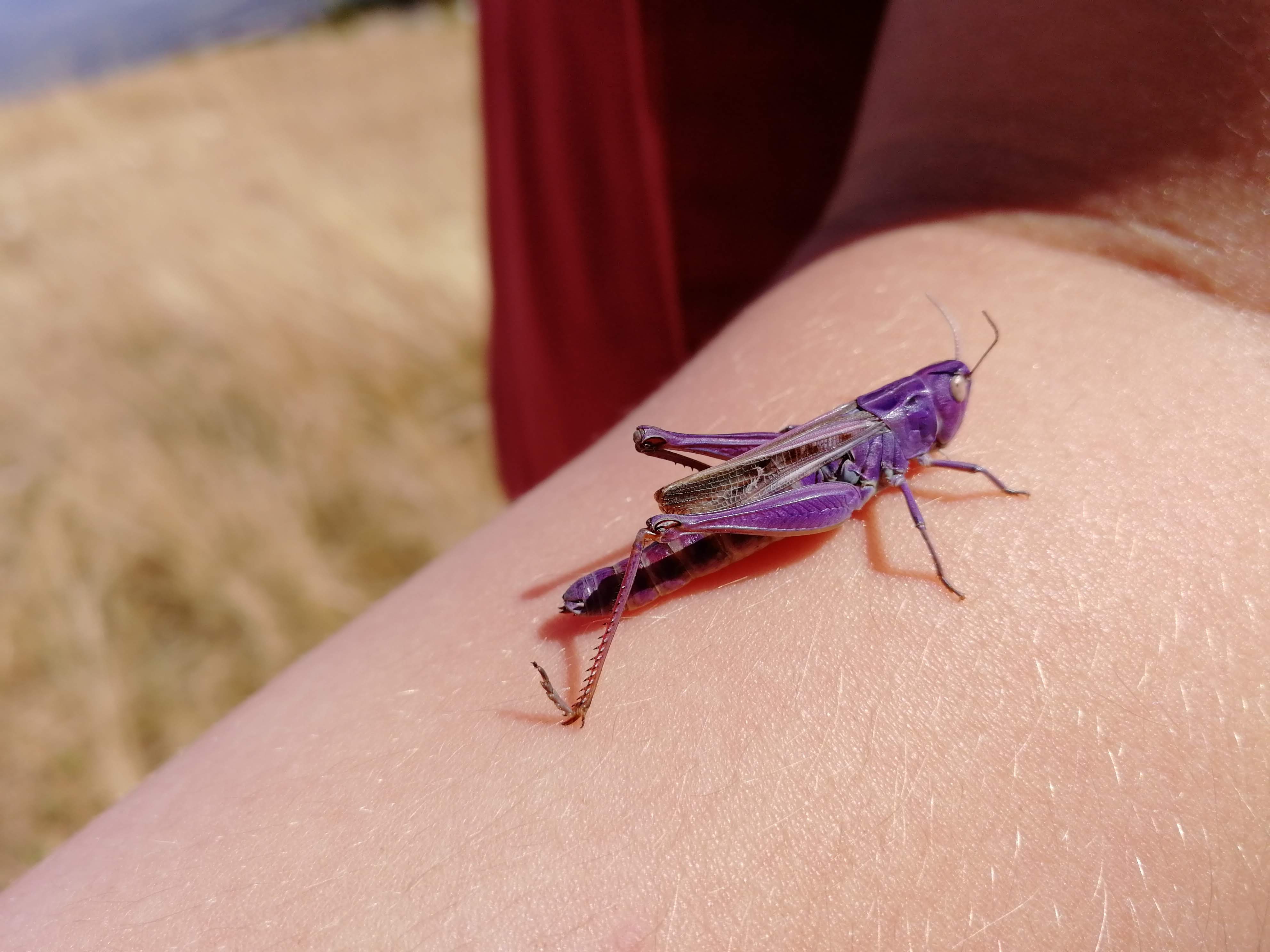 Photo n° 4 de l'avis de Christophe.a fait le 23/08/2018 à 07:23