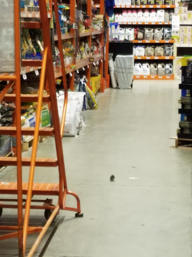 Home Improvement Store «The Home Depot», reviews and photos, 670 S Rand Rd, Lake Zurich, IL 60047, USA