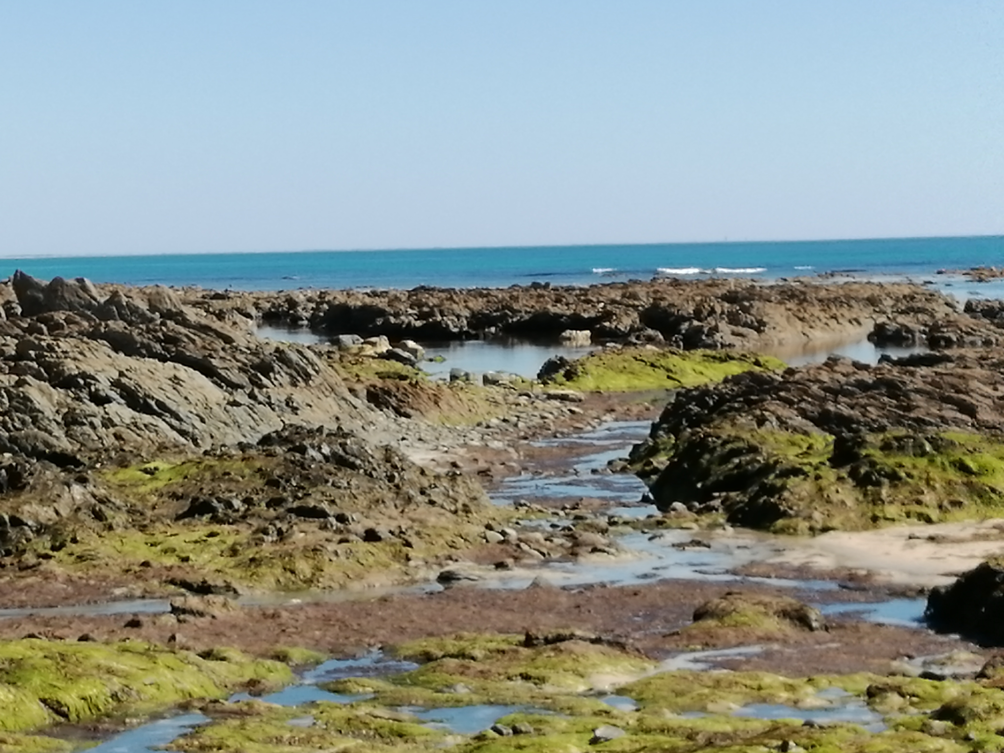 Photo n° 49 de l'avis de Nath.d fait le 26/07/2021 à 19:44